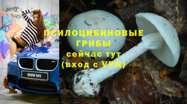 экстази Абаза