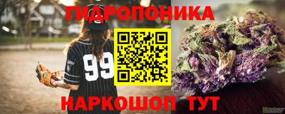 скорость Сланцы