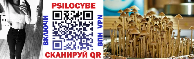 купить наркотик  Рязань  Псилоцибиновые грибы Cubensis 