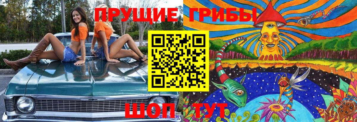 Галлюциногенные грибы прущие грибы  Вход с VPN  Рязань 