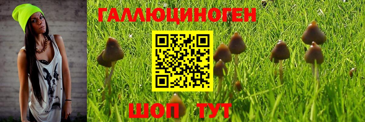 Псилоцибиновые грибы мухоморы Рязань